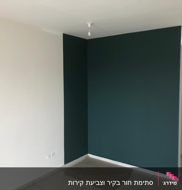 קיר צבוע בצבע כהה עם סולם צביעה